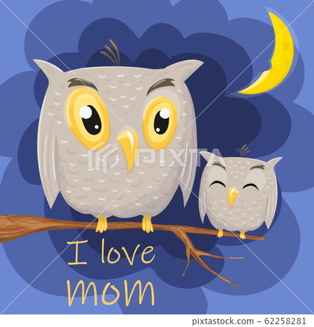 Mother and cute baby owl are sitting on a tree branch. 62258281