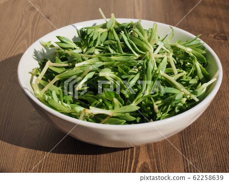 Korean food ingredient, purslane, spring vegetable 62258639