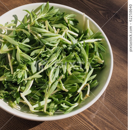 Korean food ingredient, purslane, spring vegetable Korean food ingredient, purslane, spring vegetable 62258640