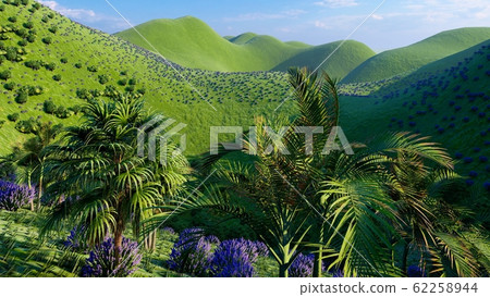 Jungle hills in Okinawa, Japan 3d rendering 62258944