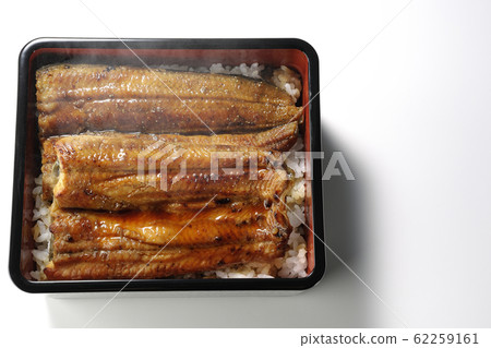 母羊的體重 62259161