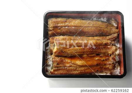 母羊的體重 62259162