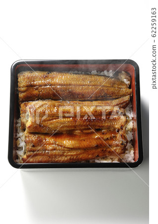 母羊的體重 62259163