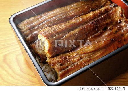 母羊的體重 62259345