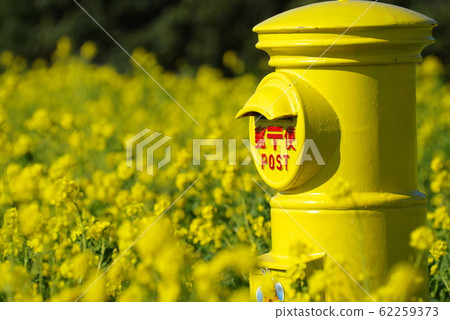 Rape blossoms and post 62259373