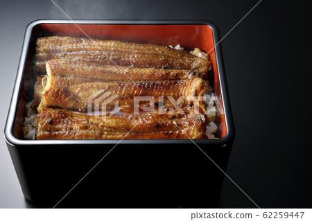 母羊的體重 62259447