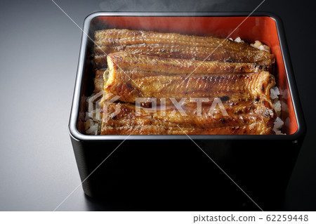 母羊的體重 62259448