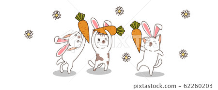 Cute bunny cats in spring day 62260203