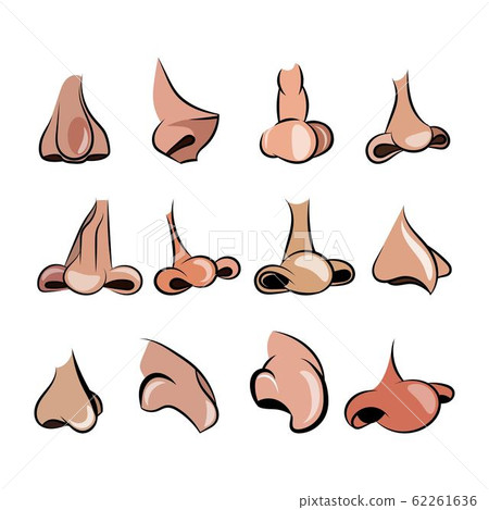 Vector illustration of 12 noses cartoon set for character animation Vector illustration of 12 noses cartoon set for character animation 62261636