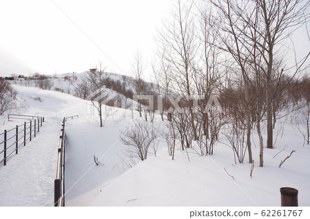 Snow on a mountain in Japan.	 62261767