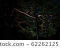 wood  62262125