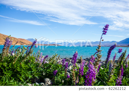 Lake Tekapo 62262212