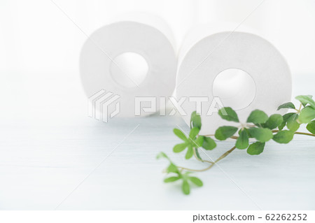 Toilet Paper  62262252