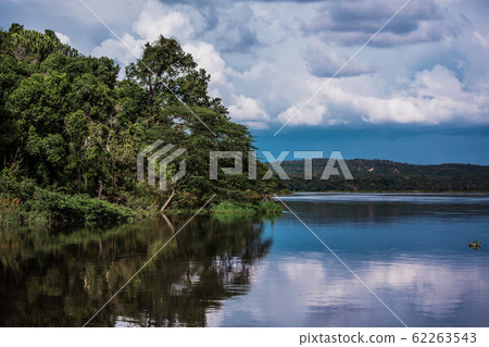 Reflection of lush vegetation in the waters of the Nile river. Blue horizon and clouds Reflection of lush vegetation in the waters of the Nile river. Blue horizon and clouds 62263543