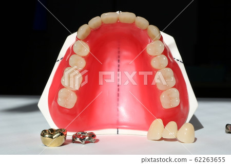 Tooth Tooth 62263655