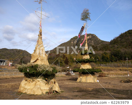 通多 通多 62263979