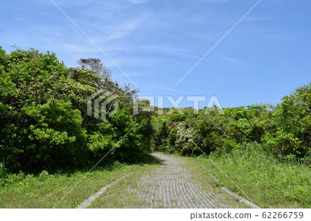 A promenade 62266759