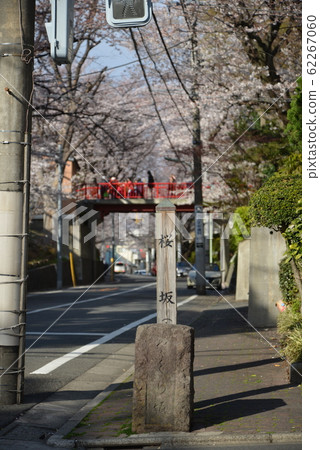 東京大田區櫻坂 62267060