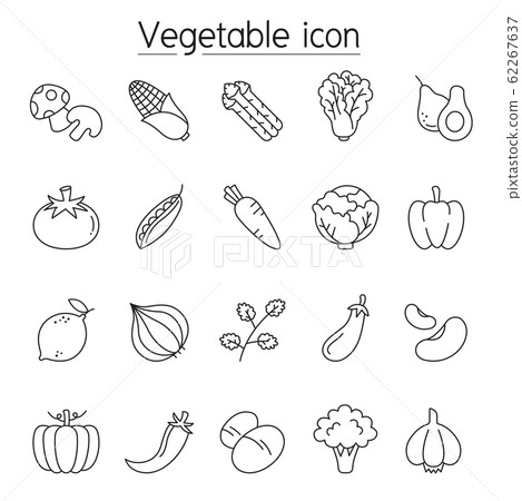 Vegetable icon set in thin line style - Stock Illustration [62267637 ...