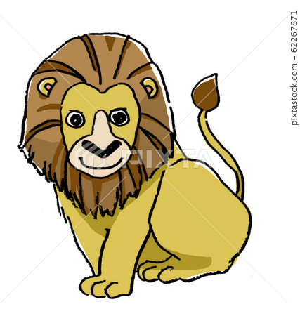 Lion hand drawn illustration 62267871