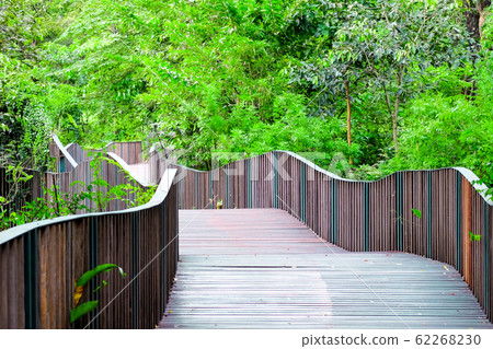 Shadiness of the Bird Wave Bridge, A wave-like wooden bridge is a bridge between Queen Sirikit Park with Wachirabenchathat Park on Chatuchak, Bangkok, Thailand 62268230