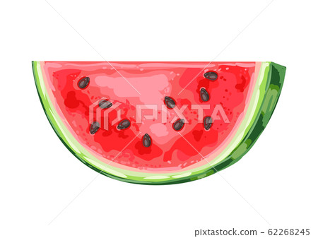 Illustration of ripe watermelon slice. - Stock Illustration [62268245] -  PIXTA