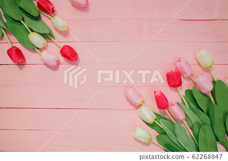 Beautiful tulips on pink background. Beautiful tulips on pink background. 62268947