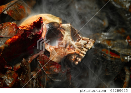 Human skull on the wet soild with smoke flowing 62269625