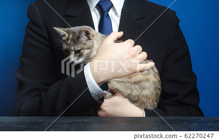 Businessman holds a cat. Bring your pet to work. Relaxation and antistress. Love for animals, cat lover. Boss is also an ordinary man. Animal welfare, custody adoption of homeless abandoned pets. Businessman holds a cat. Bring your pet to work. Relaxation and antistress. Love for animals, cat lover. Boss is also an ordinary man. Animal welfare, custody adoption of homeless abandoned pets. 62270247