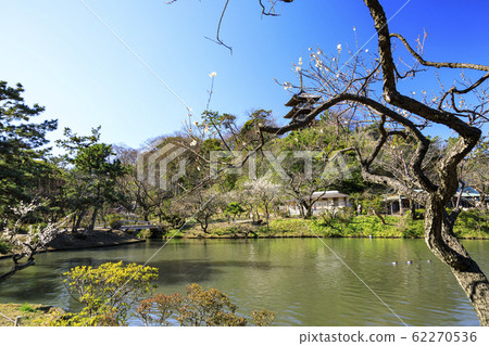 桑基恩(李子) 桑基恩(李子) 62270536