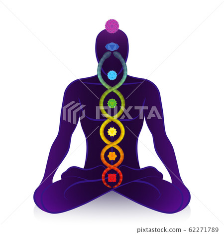 Kundalini serpent and chakras of a meditating man, symbol for spiritual awakening, healing power and balance, celestial harmony and relaxation. Vector illustration on white. 62271789