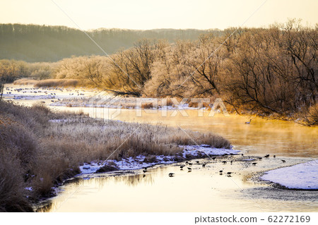 The snow-covered river, the rime and red-crowned crane "Tsurui-mura, Akan-gun" at sunrise 62272169