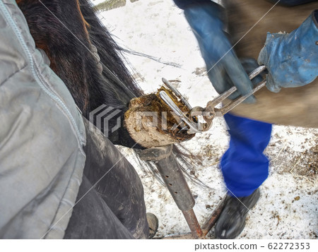 Blacksmith with asistant are removing worn out Blacksmith with asistant are removing worn out 62272353