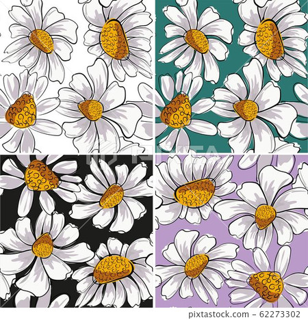 Chamomile in beautiful style. Decoration element. Chamomile in beautiful style. Decoration element. 62273302