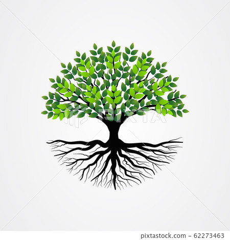 Abstract Tree With Roots And Green Leaves Tree Stock Illustration   62273463 