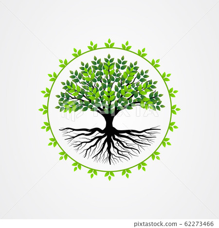 Abstract tree with roots and green leaves. tree Abstract tree with roots and green leaves. tree 62273466