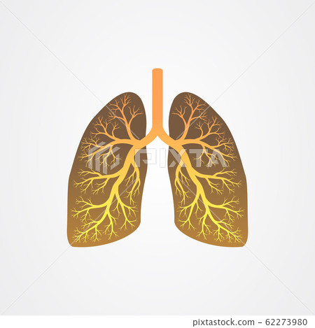 Dead tree branches and human lungs vector 62273980