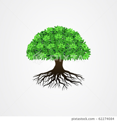 Tree with the roots vector illustration Tree with the roots vector illustration 62274084