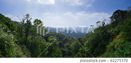 Panoramic view of the natural rich Yanbaru forest where the primeval forest remains 62275370