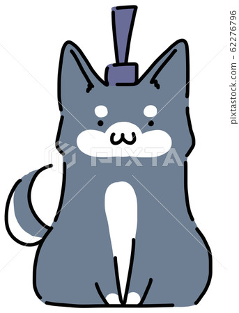 Inside of the black Shiba inu Inside of the black Shiba inu 62276796