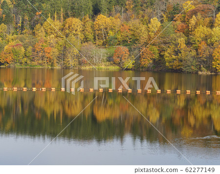 Autumn leaves and Kuriyama Dam 62277149