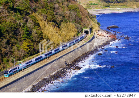 Series 251 Limited Express Super View Odoriko @ Izu Express Line: Izu Inatori-Imaihama Beach 62278947