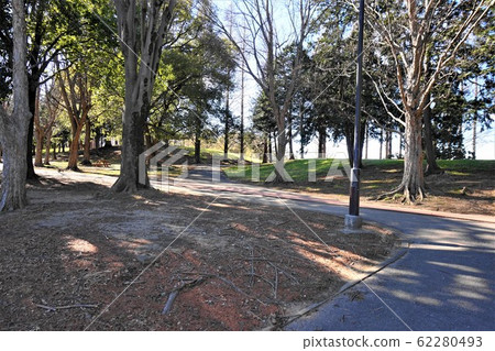 久喜書部公園 62280493