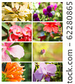 Design cards with floral collection Design cards with floral collection 62280865