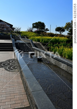 Rapeseed field 62281353