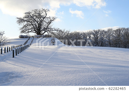一棵櫻桃樹在冬天的雪妝 62282465