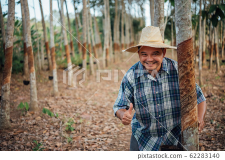 Farmer agriculturist Rubber tree plantation 62283140