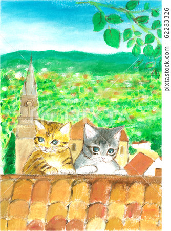 Kitten on the roof Kitten on the roof 62283326