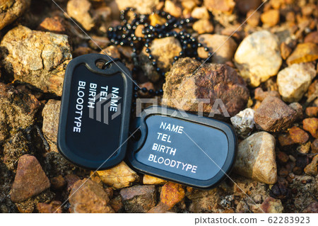 Military tag placed on the rock in forest. Concept of soldier sacrifice and armistice. 62283923
