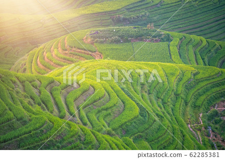View of the cascading Longji Rice Terraces 62285381